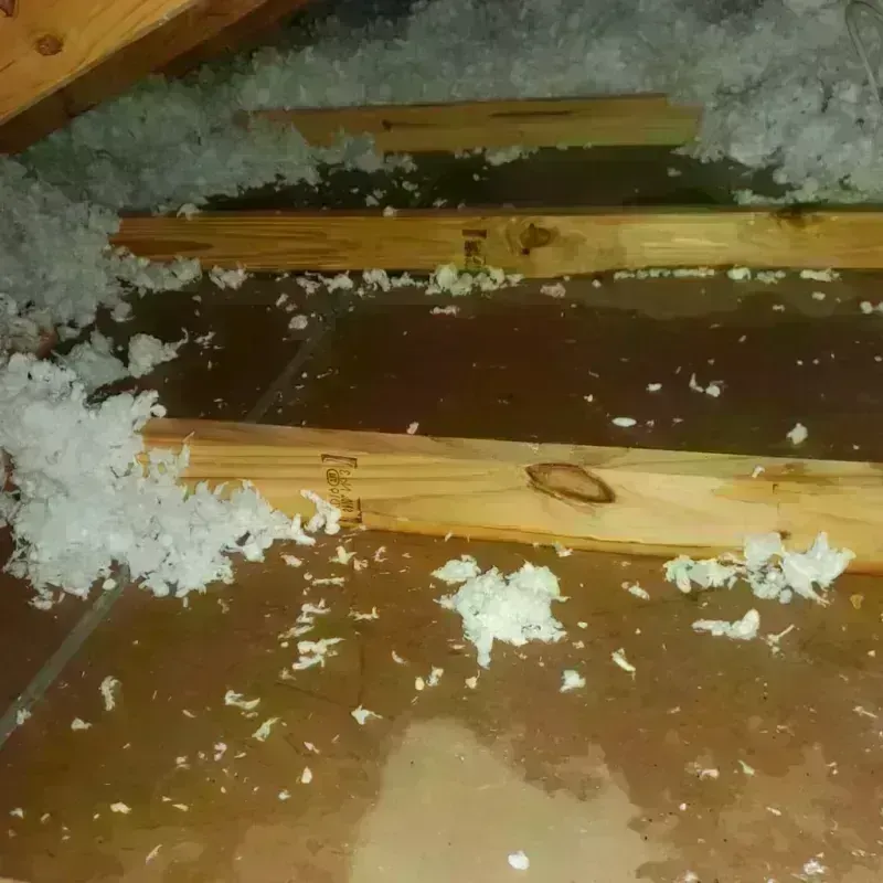 Attic Water Damage in Towanda, KS