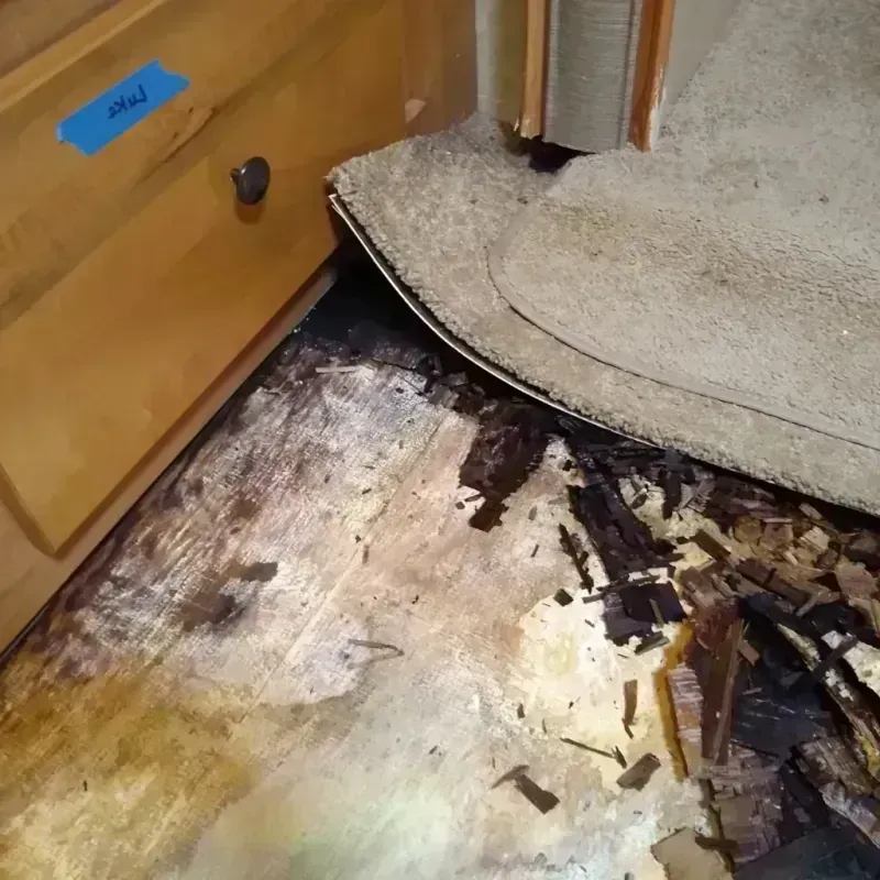 Wood Floor Water Damage in Towanda, KS